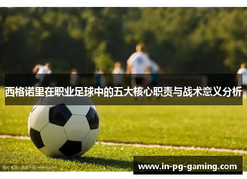 西格诺里在职业足球中的五大核心职责与战术意义分析 西格诺里在职业足球中的五大核心职责与战术意义分析
